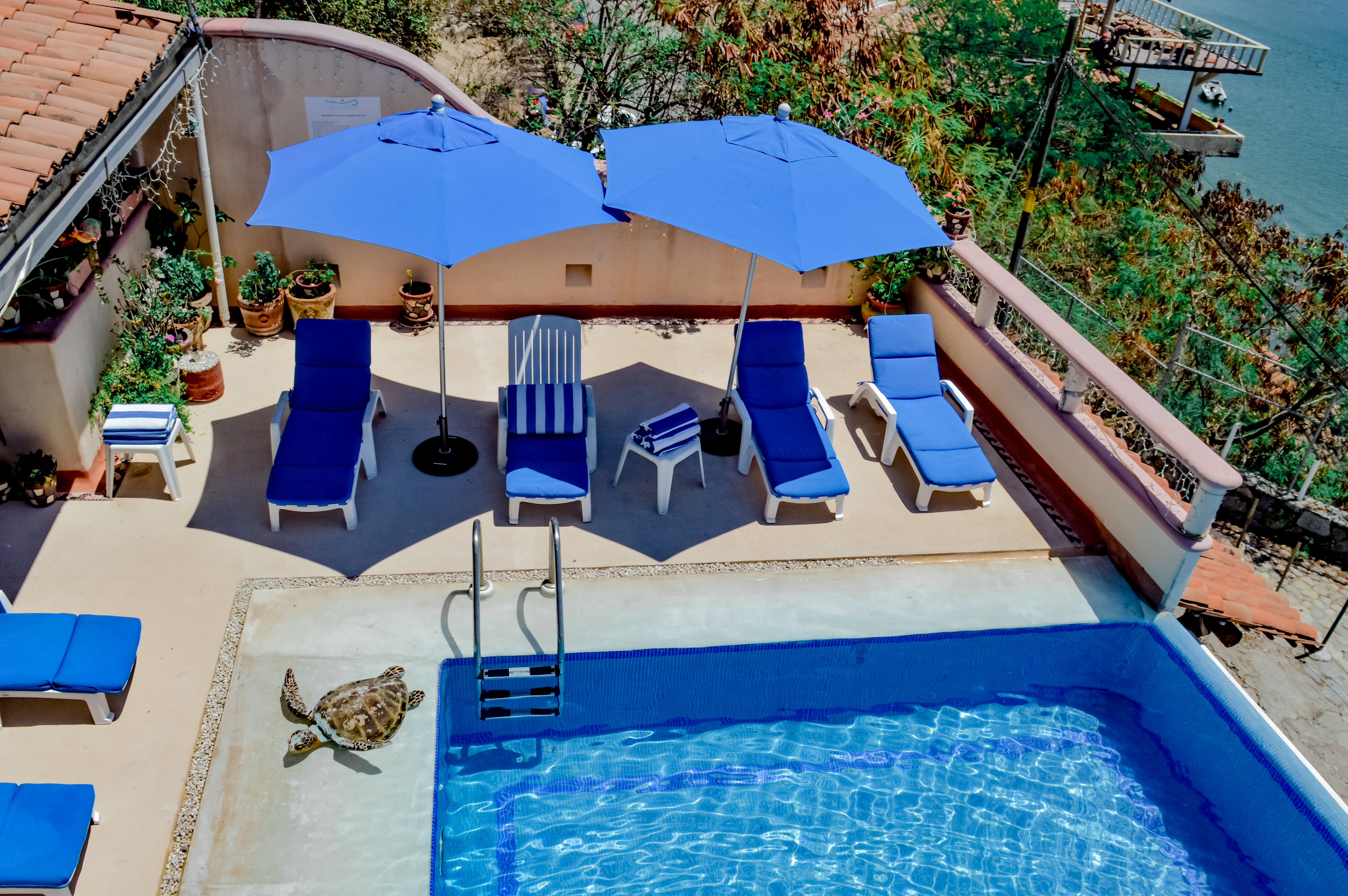 Villa del Pescador 2/33