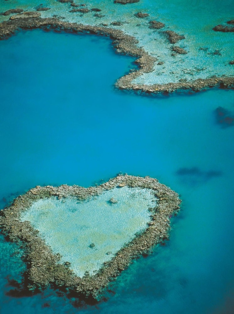 at Waterfront Whitsunday Retreat - Adults Only 27/33