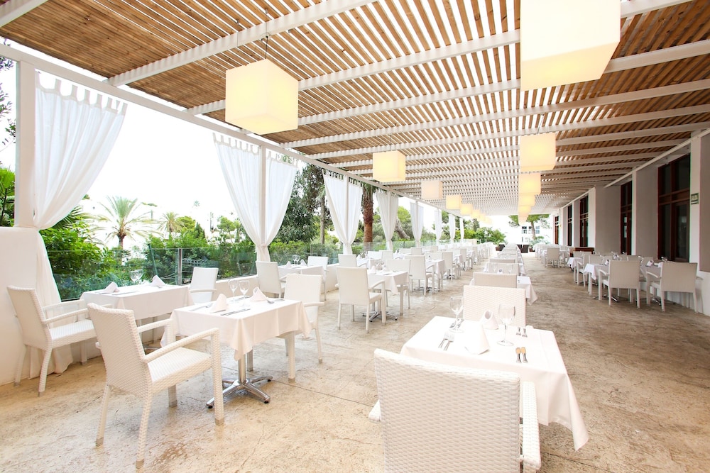 Sentido Fido Tucan - Adults Only 41/50