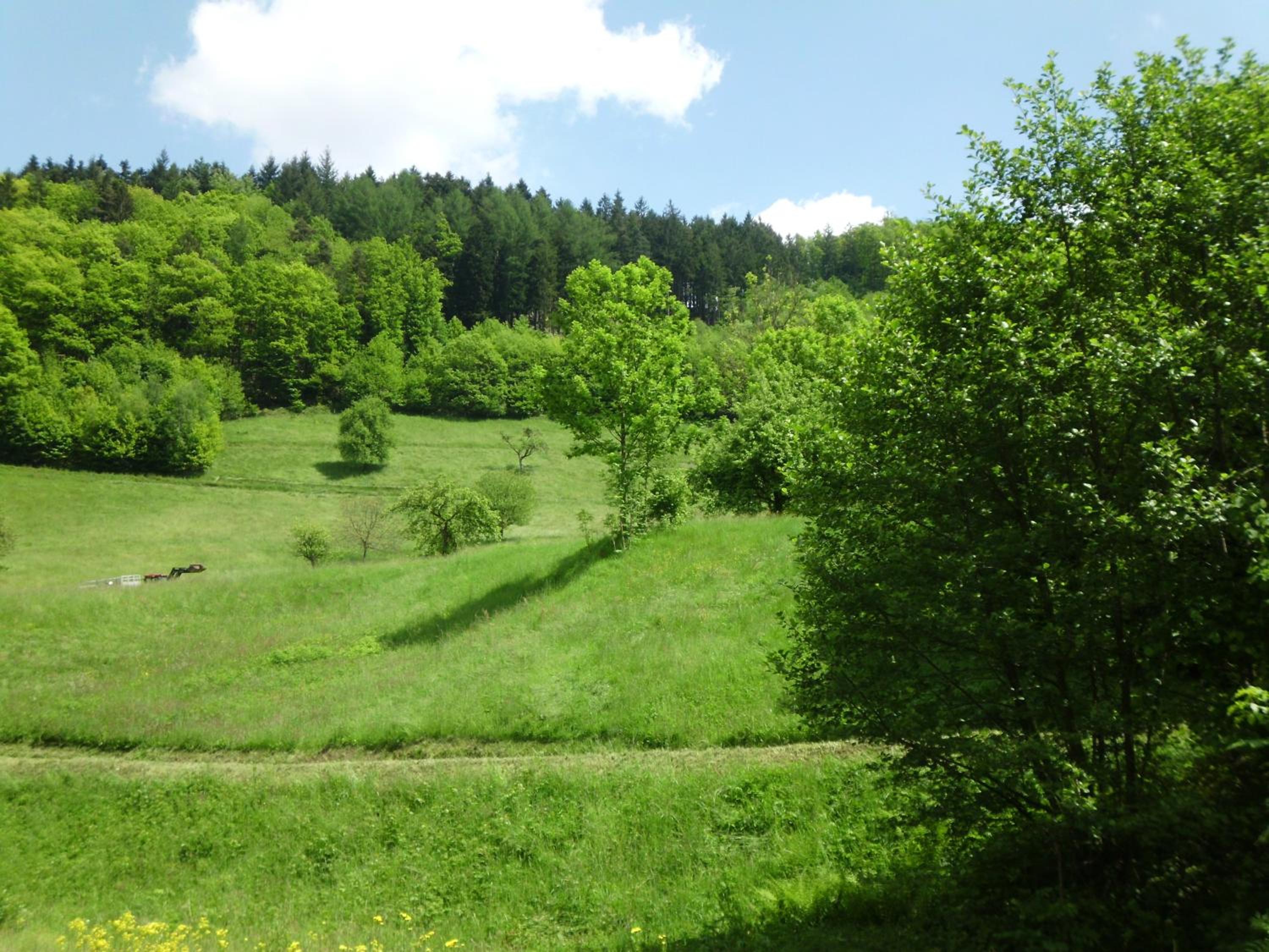 GASTHAUS FINKEN 26/32