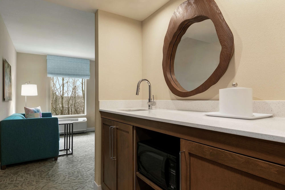 Hampton Inn Suites Johns Creek 38/47