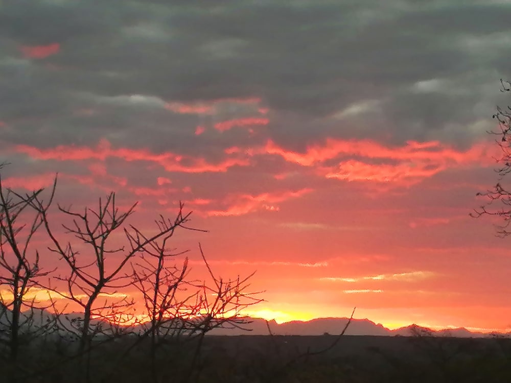 Sunset Game Lodge 38/46