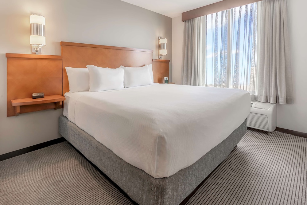 Room, King Bed