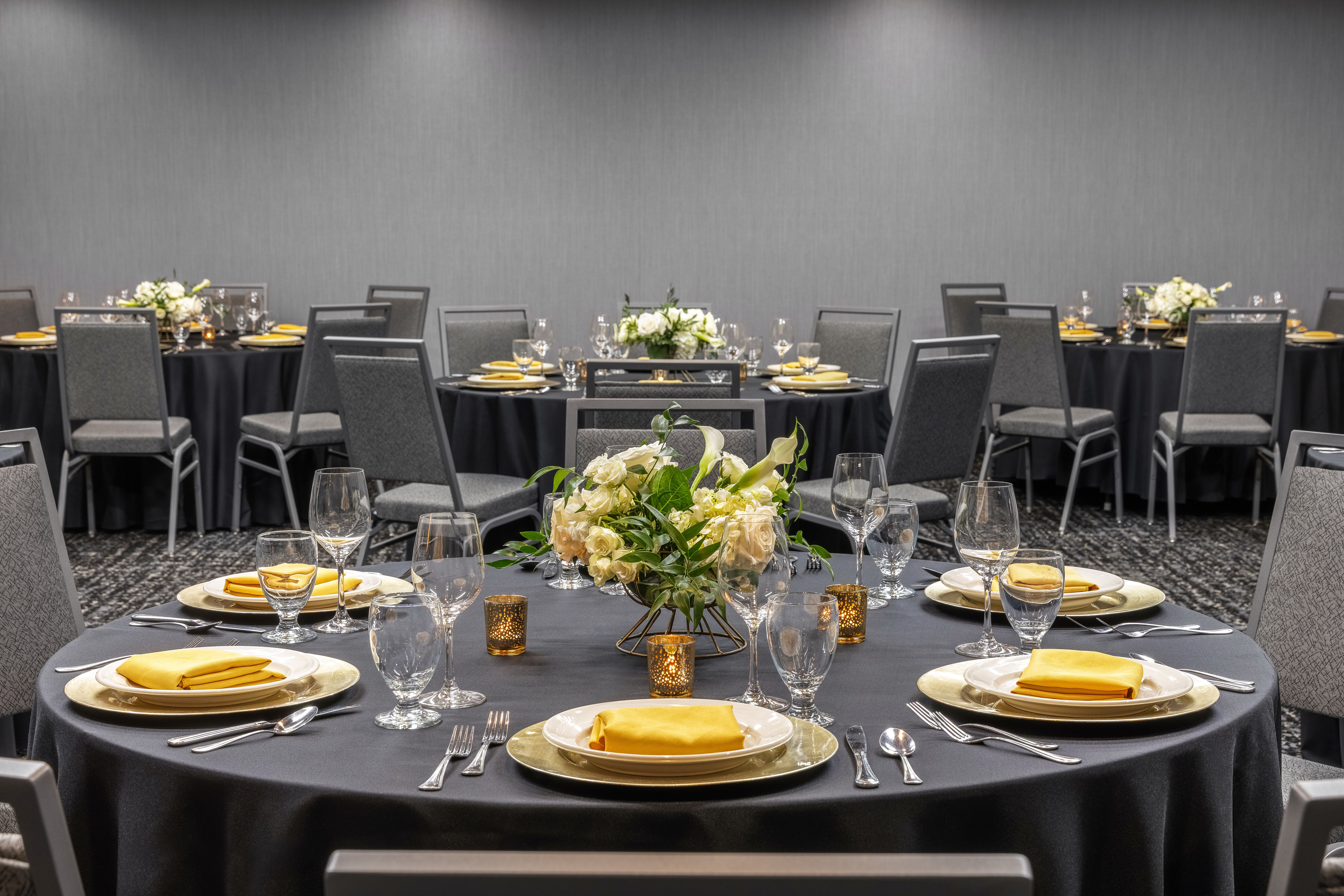 Radisson Hotel and Conference Center Coralville - Iowa City 59/61