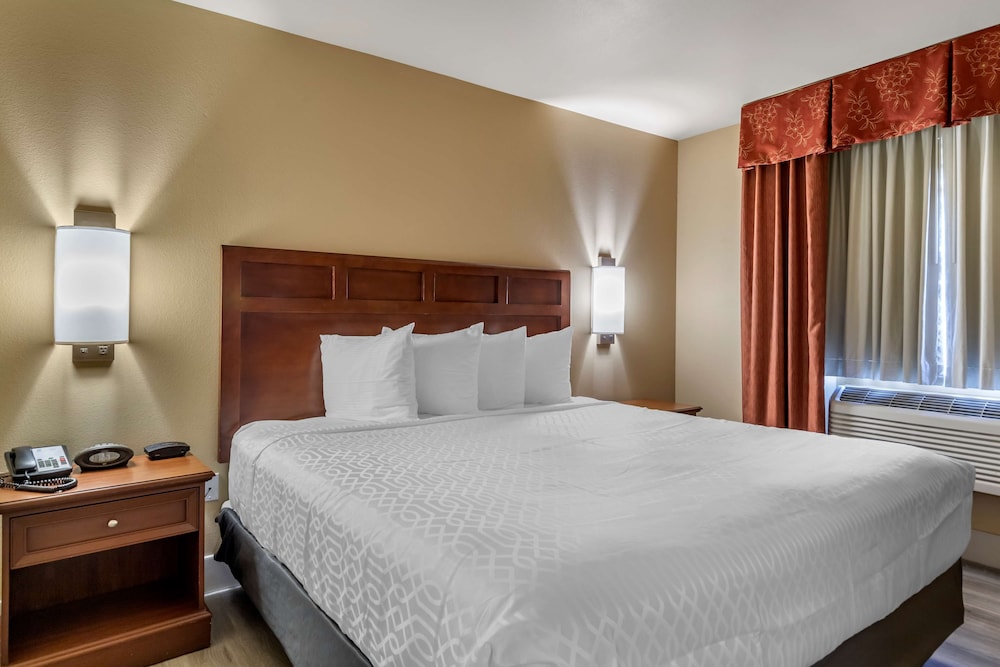 Best Western Dos Rios 18/48