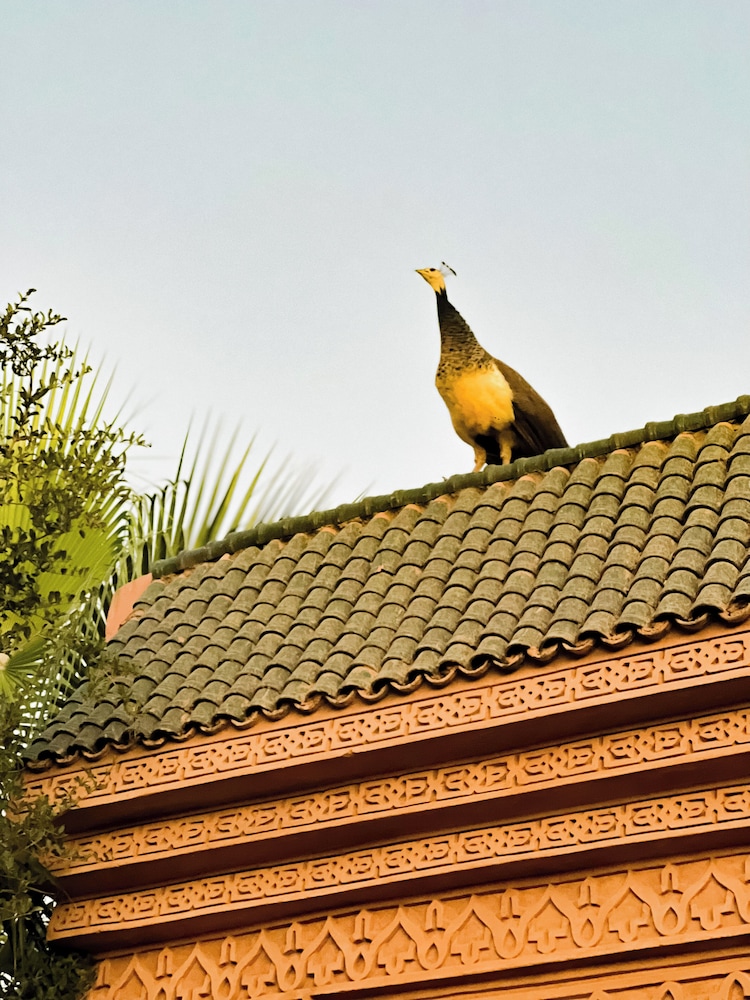 Guest House Qodwa 3/39