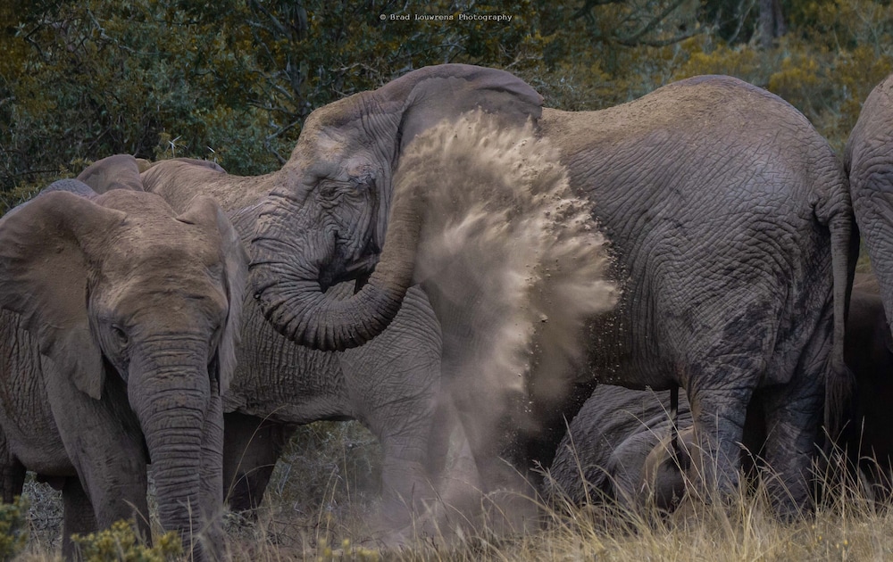 Amakhala Woodbury Tented Camp 29/33