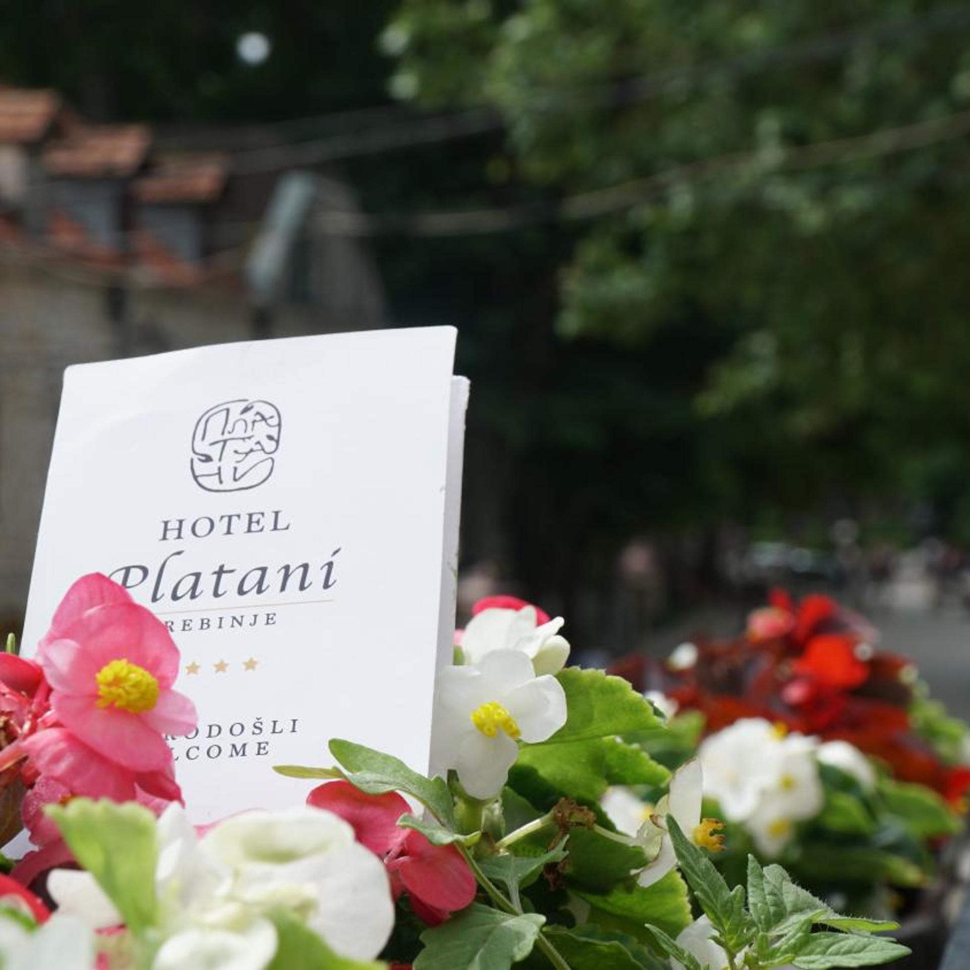 Hotel Platani 26/55