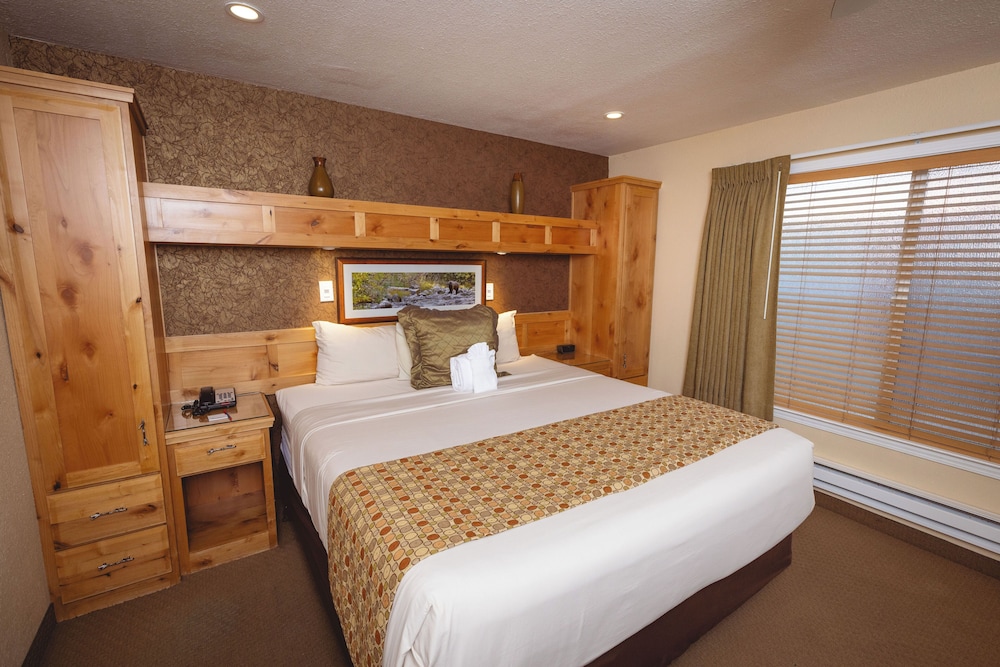 1 BEDROOM, SUITE
