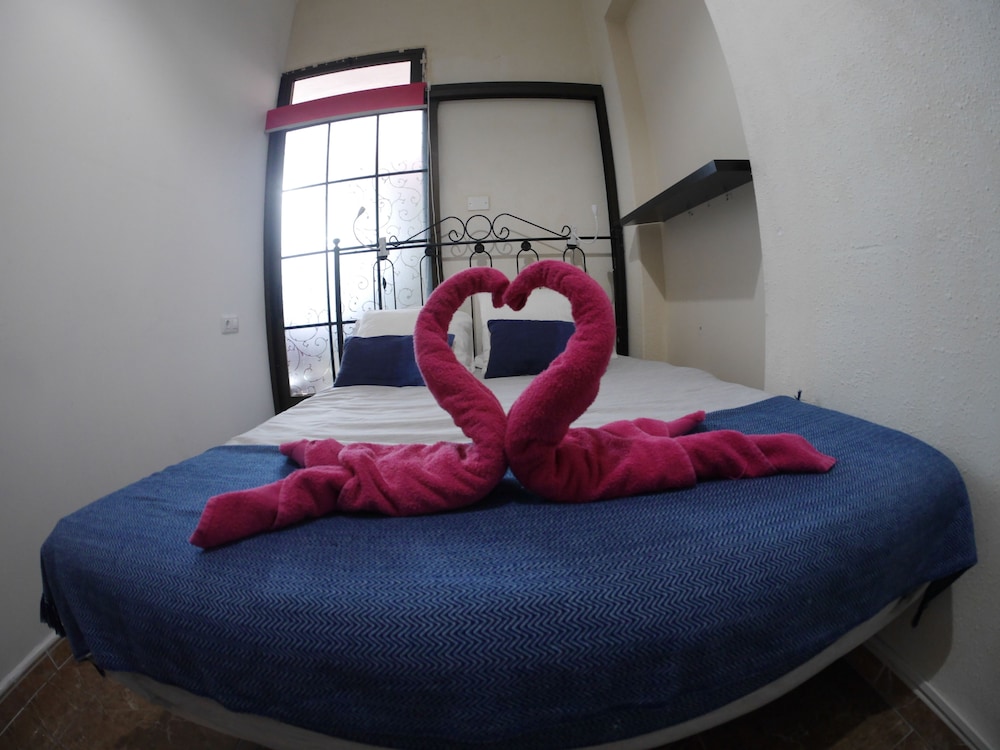 Drago Nest Hostel 17/50