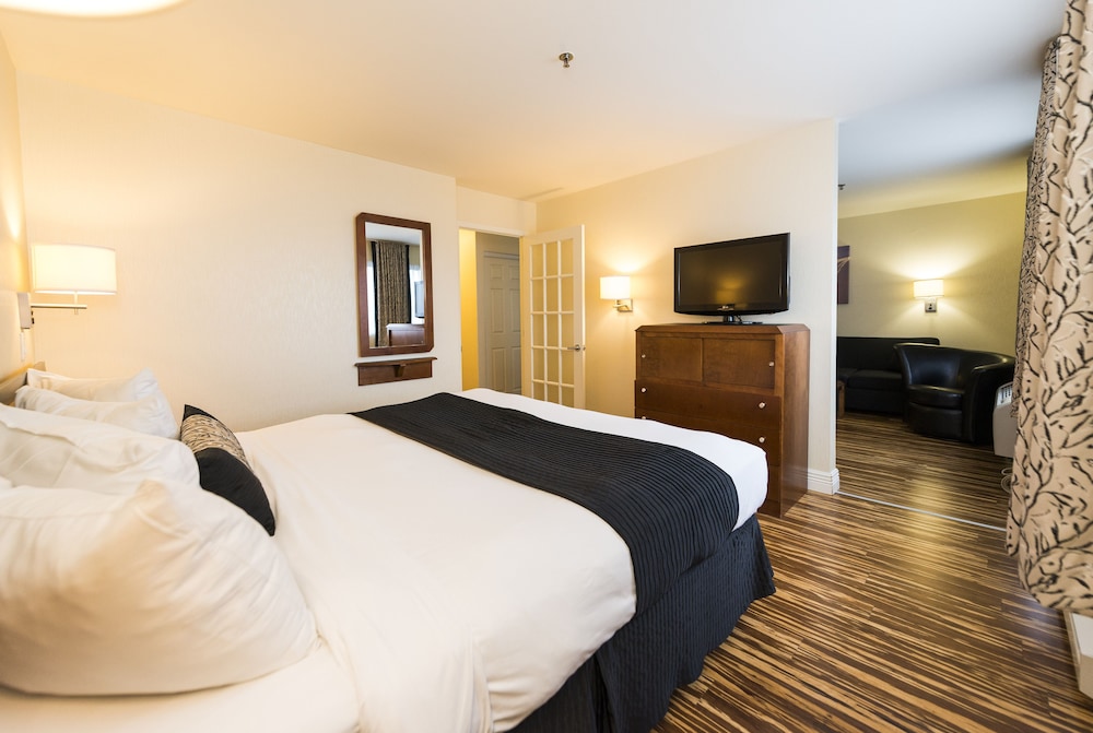 SUITE, KING BED