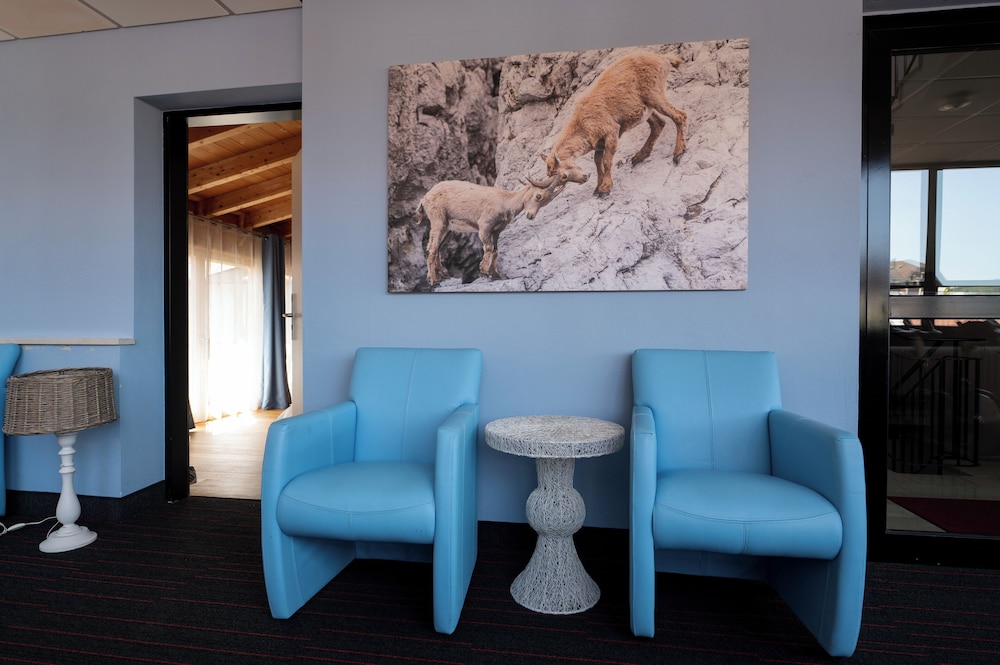 Alpenliebe Design Hotel 33/50