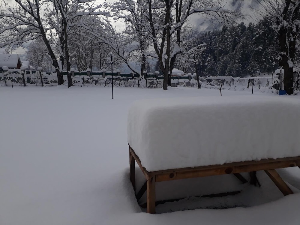 Zebrina Guest House 19/50