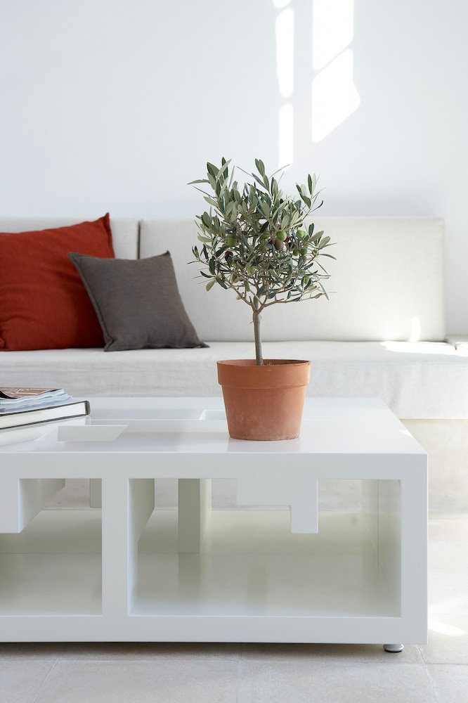 Villa Fabrica Santorini 4/36