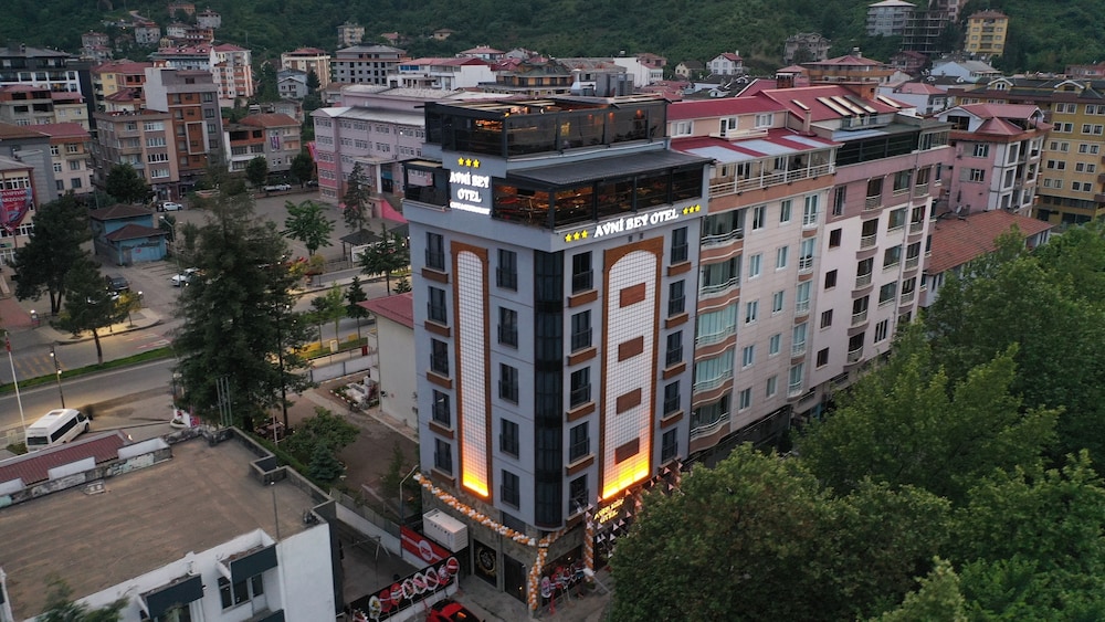 Avni Bey Otel 1/43