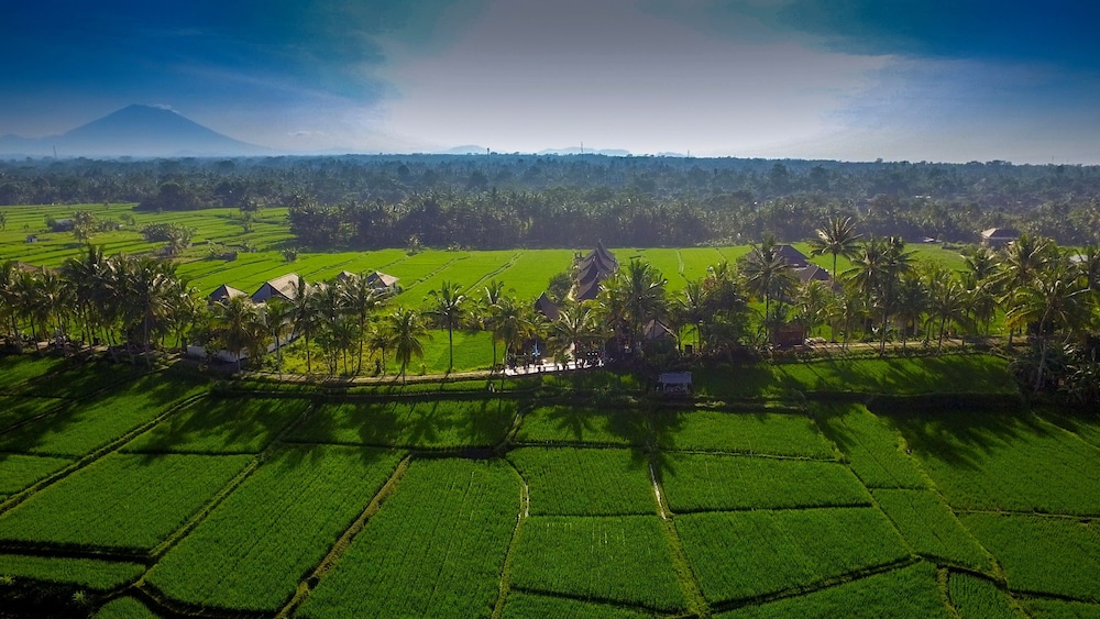 Masia Villa Ubud 40/67