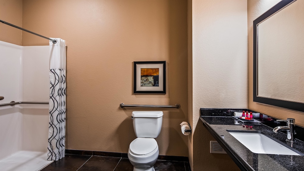 Best Western Premier Crown Chase Inn and Suites 17/70