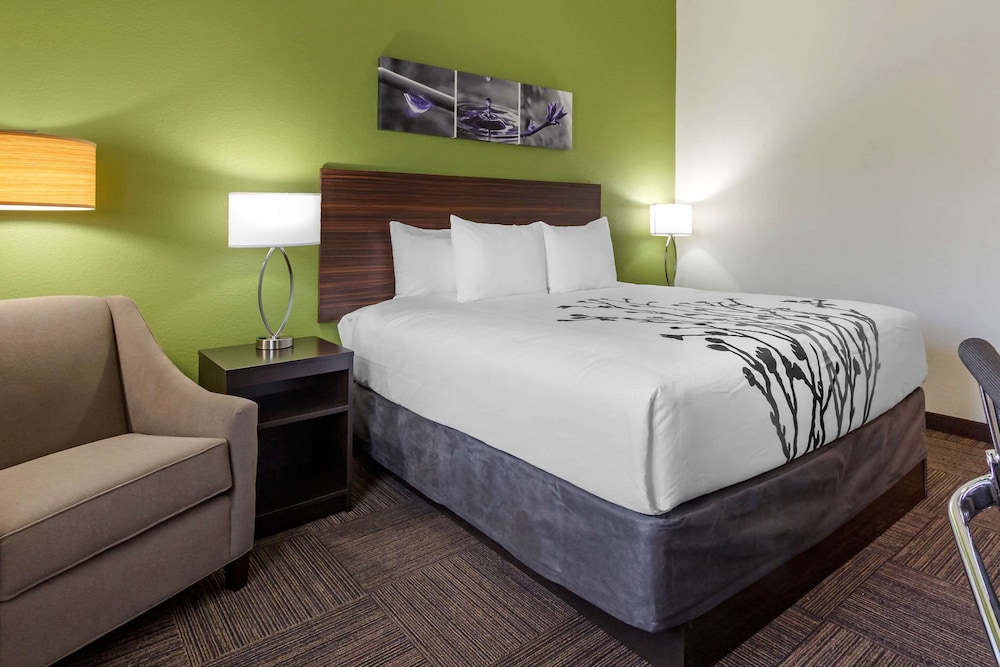 ROOM, KING BED, ACCESSIBLE