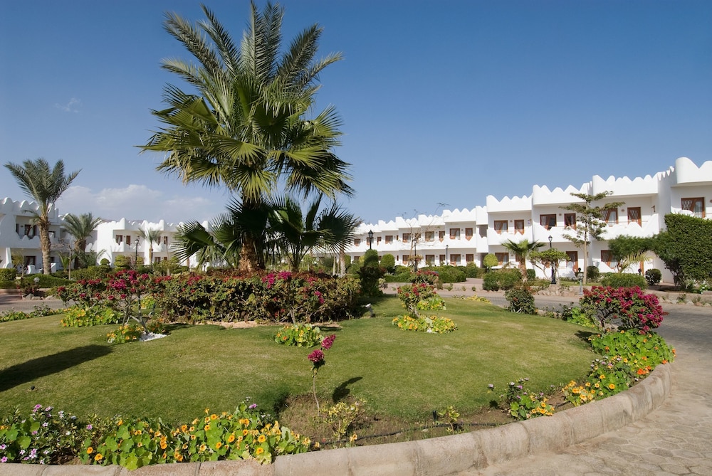 Swiss Inn Resort Dahab 61/70
