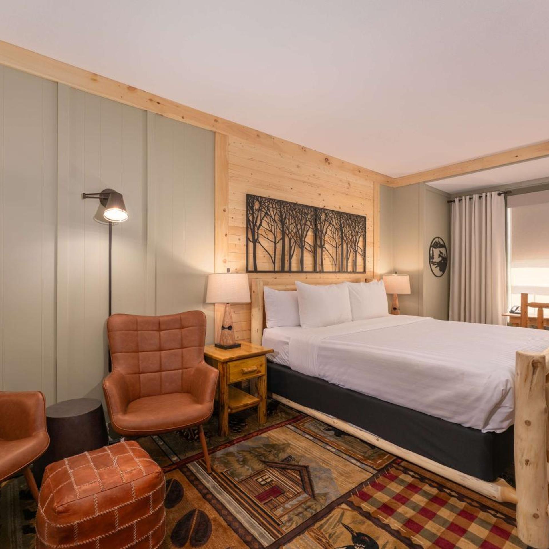 Designer, Bunk Bed, Queen Bed