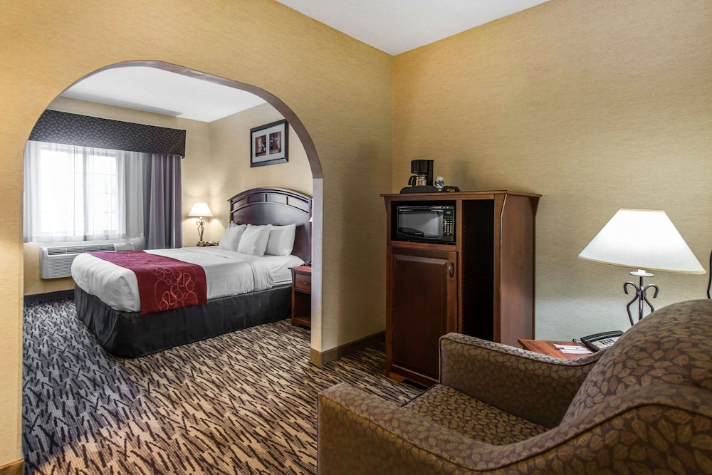 Comfort Suites At Evergreen Parkway 13/48