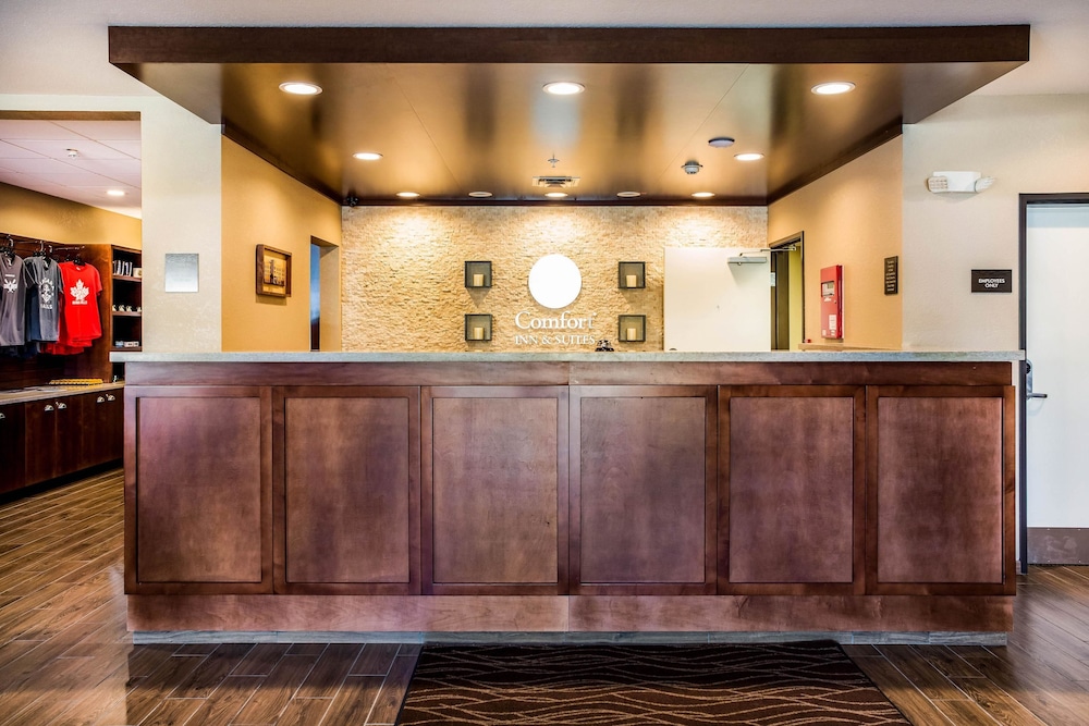 Comfort Inn and Suites Niagara Falls Blvd USA photo3