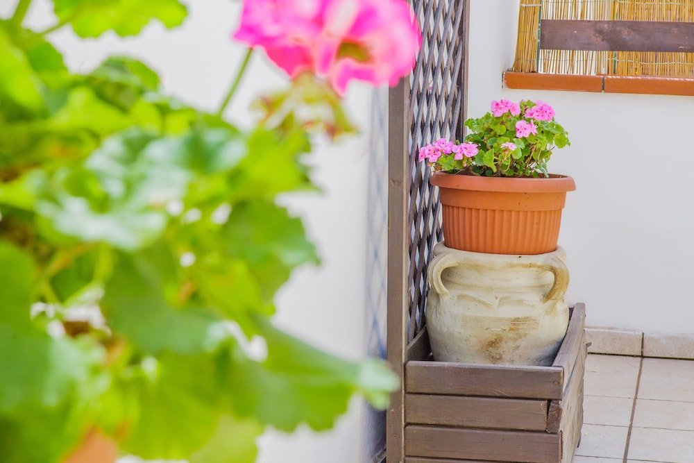 Villa Maredona Hotel 21/41