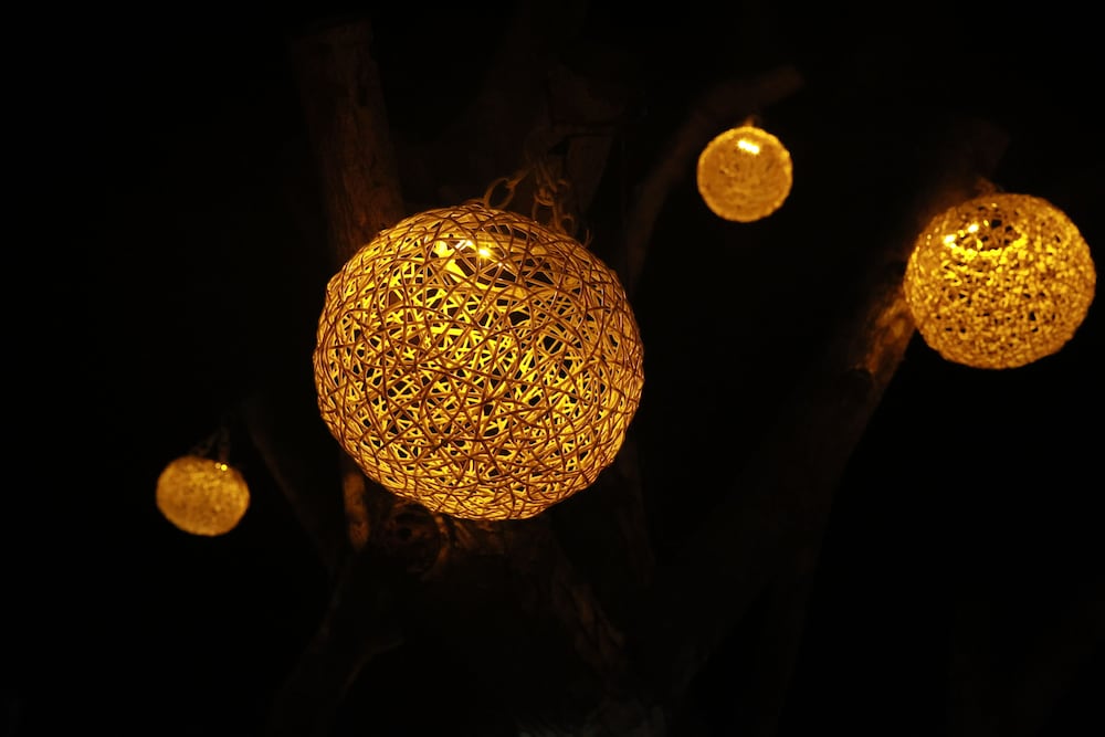 ラヤ サファリ リゾーツ & スパ 写真4