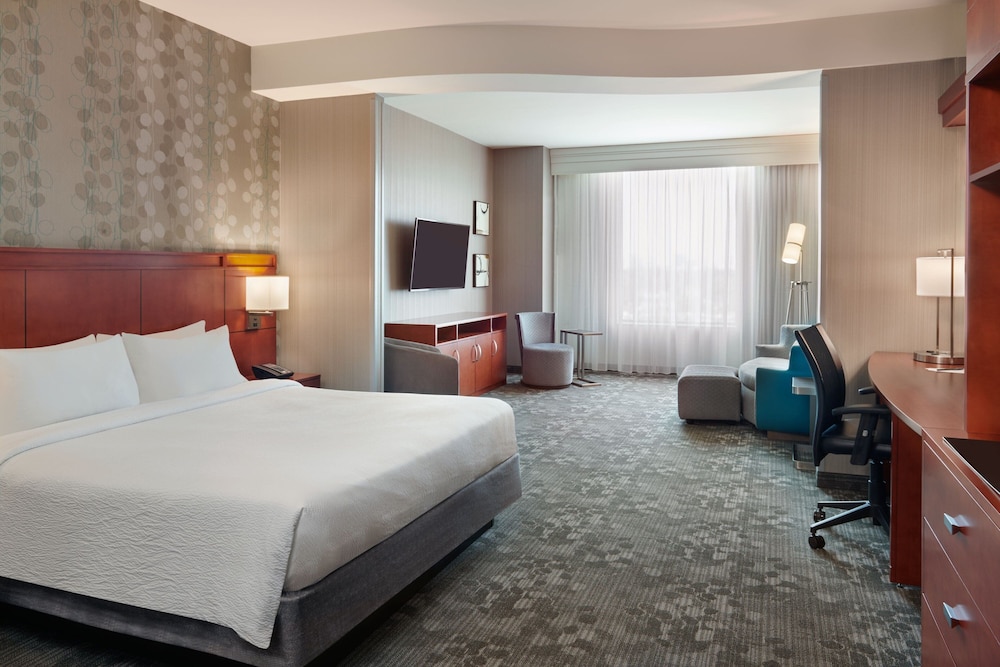 Studio, Suite, King Bed, Sofa