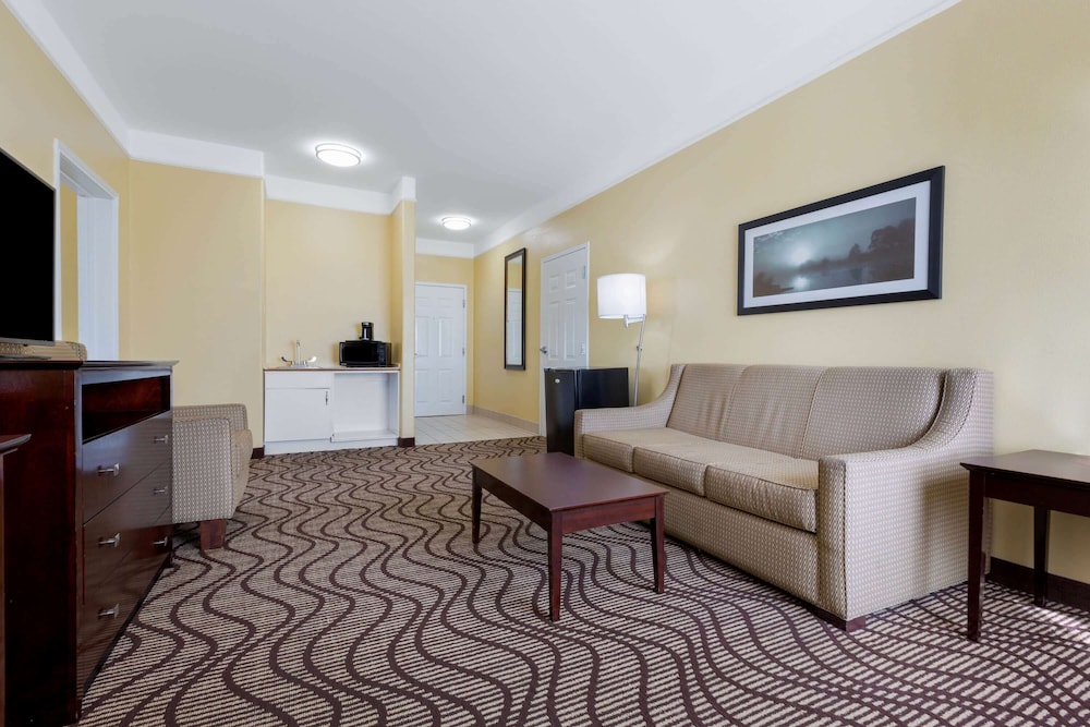 La Quinta Inn & Suites by Wyndham Angleton 28/50