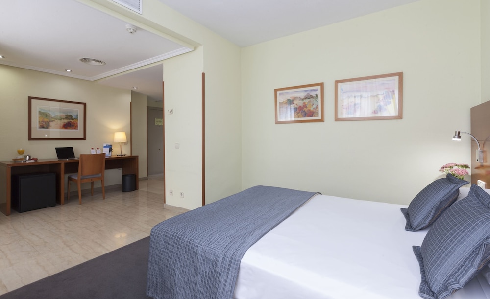 غرفة قياسية بسرير مزدوج، Hotel Porcel Torre Garden 6/10