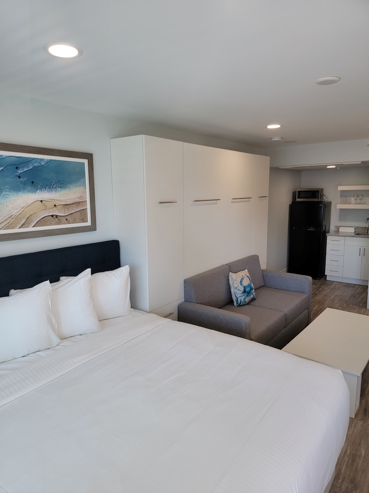 Studio, Suite, King Bed, Sofa