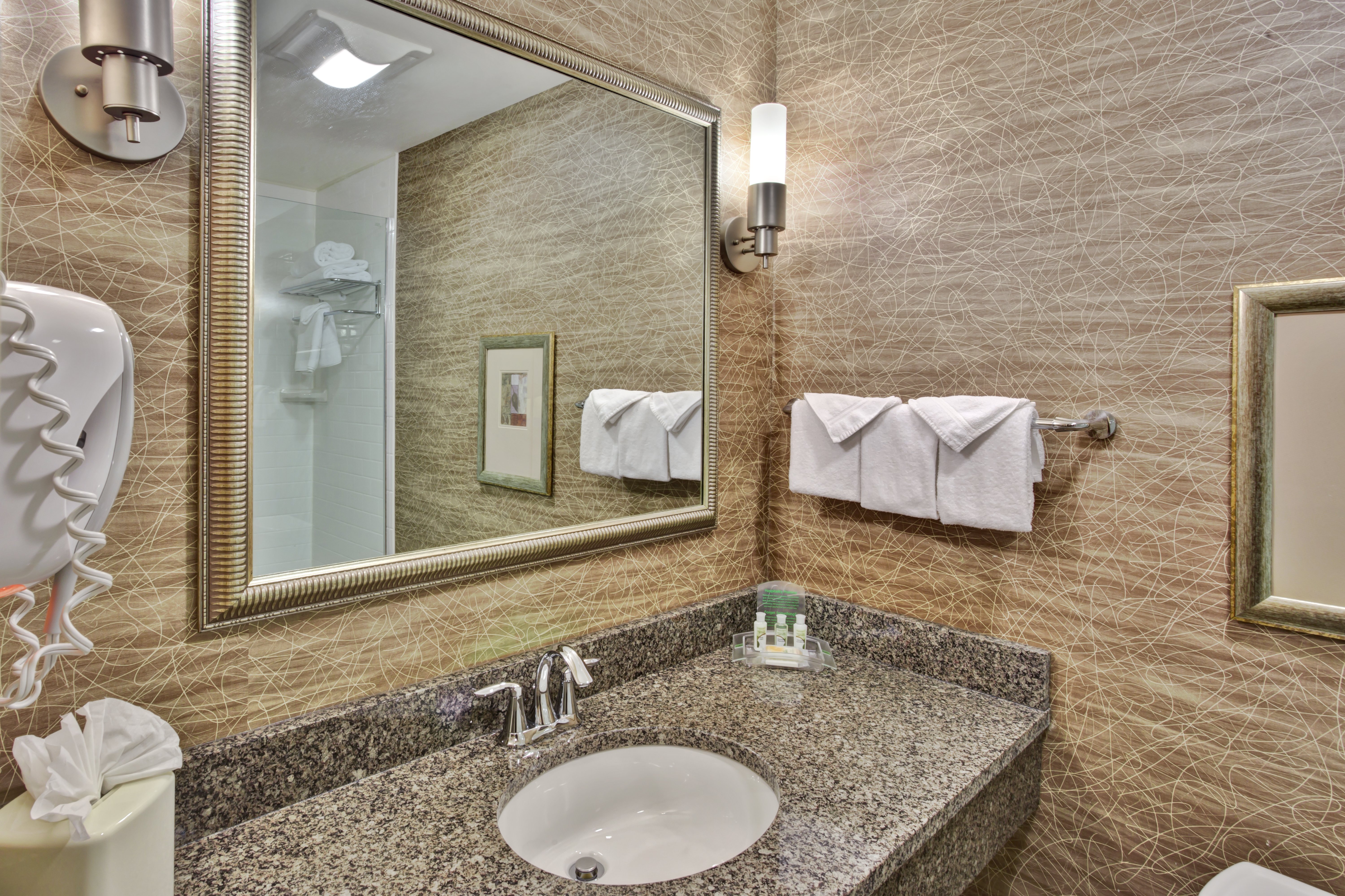 Holiday Inn Detroit Metro Airport 58/58