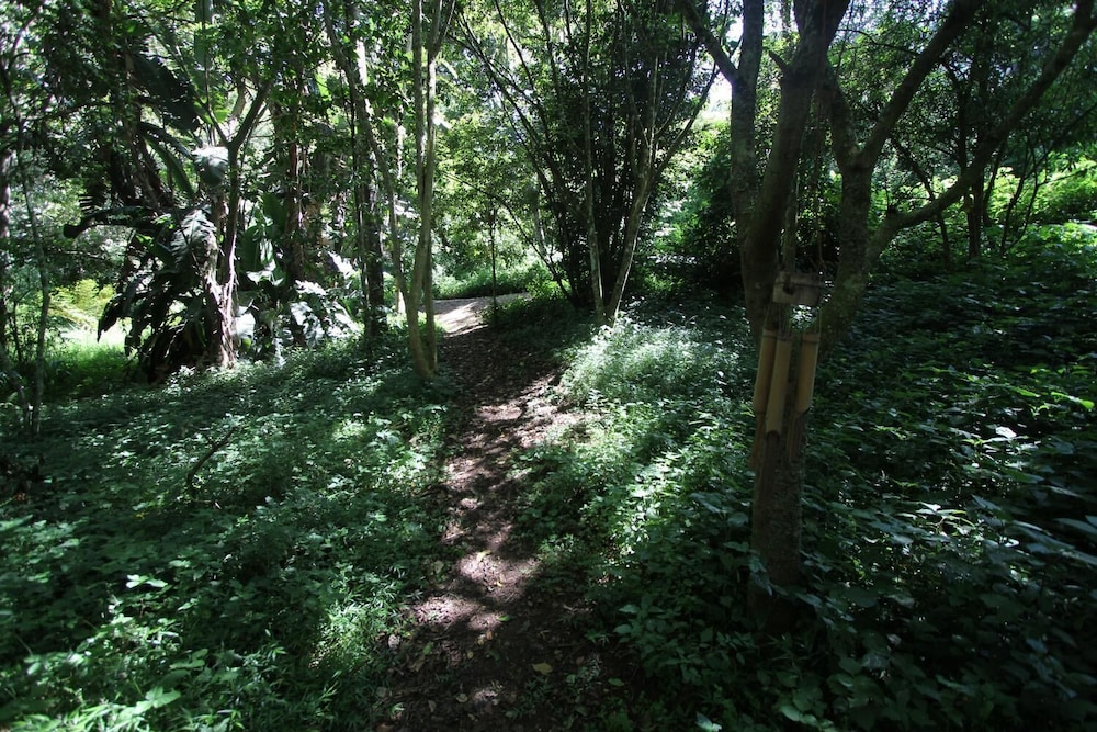 Cybele Lodge Bnb 34/38