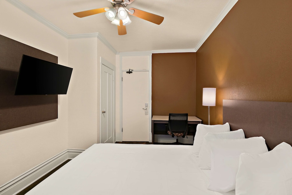 STANDARD, QUEEN BED, LARGE