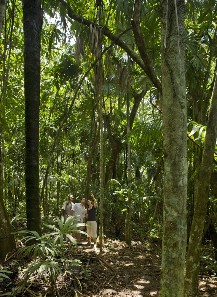 Gamboa Rainforest Reserve Hotel 66/67