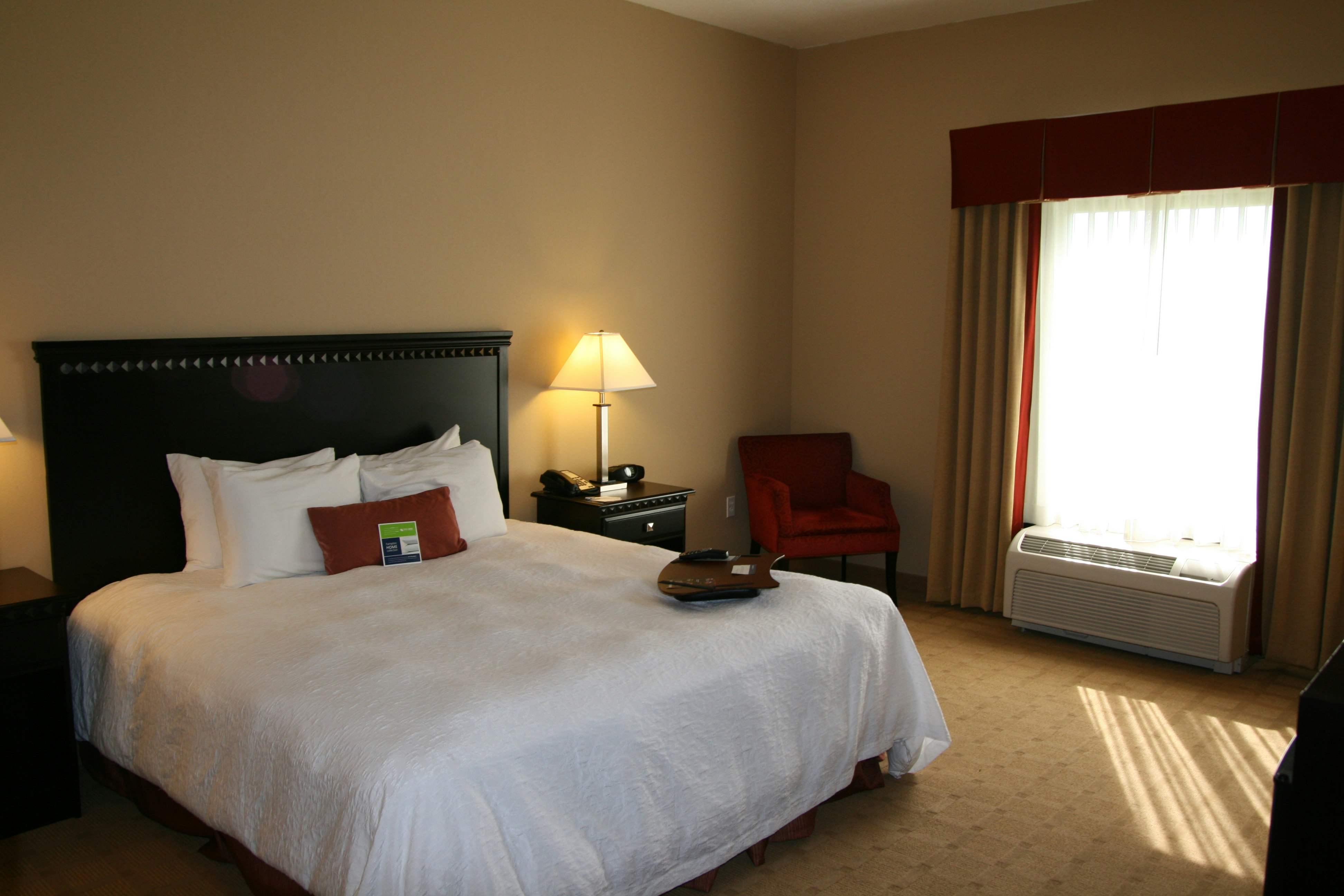 Room, King Bed
