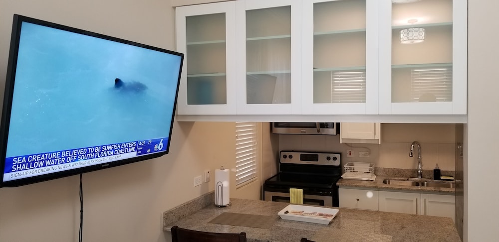 New Kingston Guest Apartment At Eight 13/26