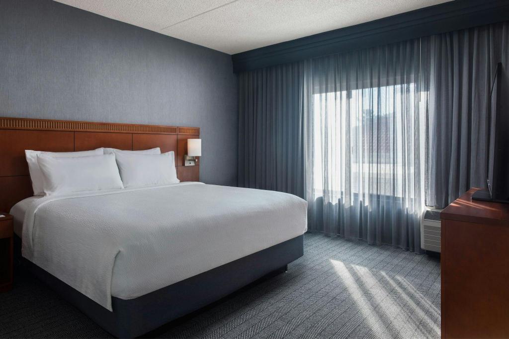 Conference, Suite, King Bed