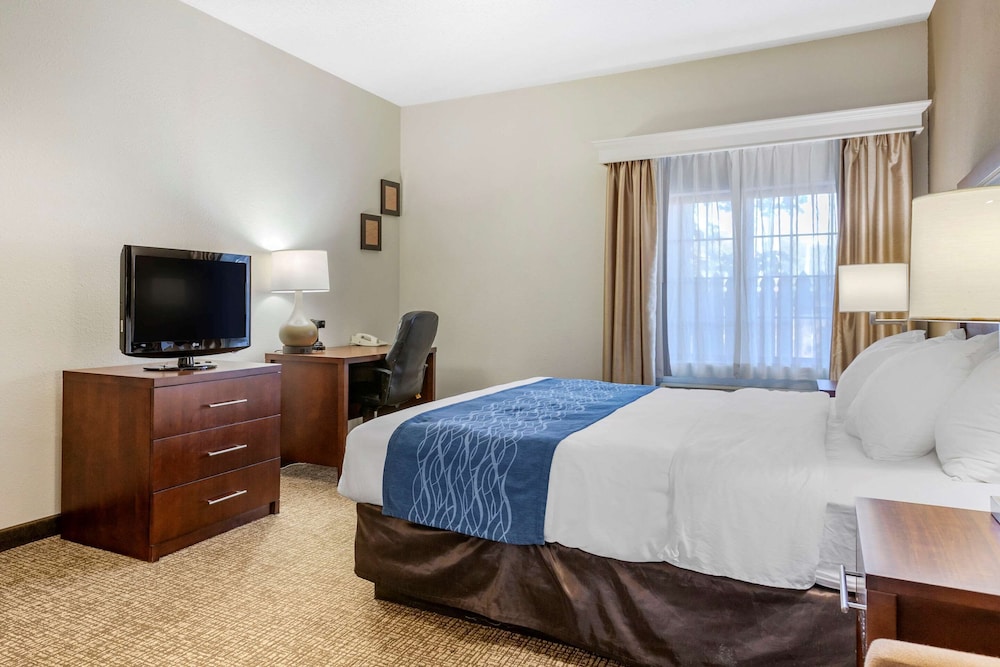 Comfort Inn Downtown University Area 12/37