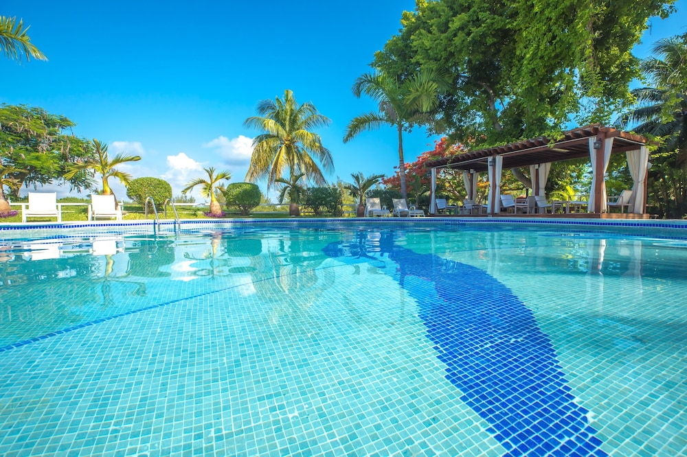 Las Gaviotas Hotel Suites 4/51