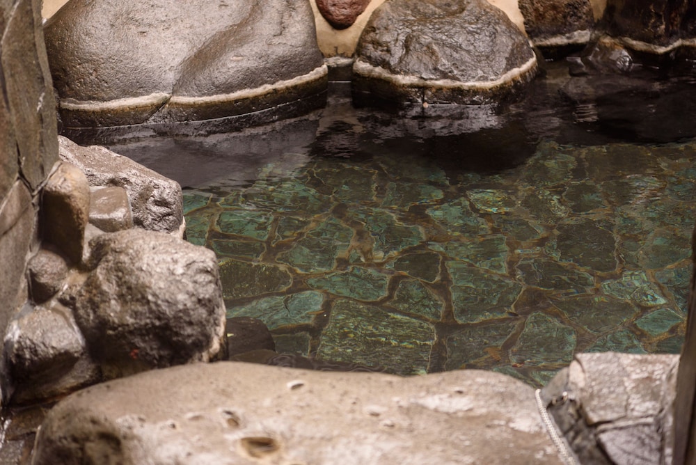 Yufuin Onsen Ryokan Jinnouchi 6/21