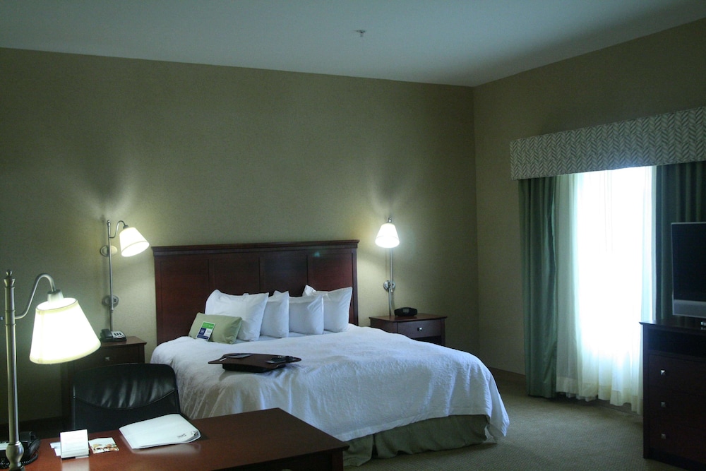 Hampton Inn Suites Abilene I-20 25/65