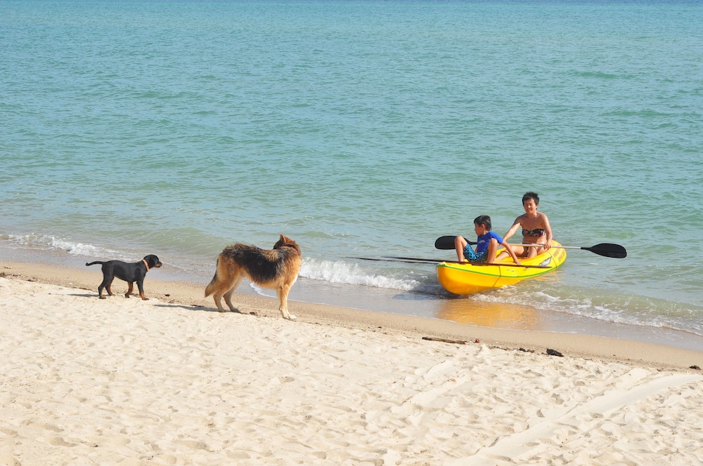 Phangan Rainbow Bungalows 19/30