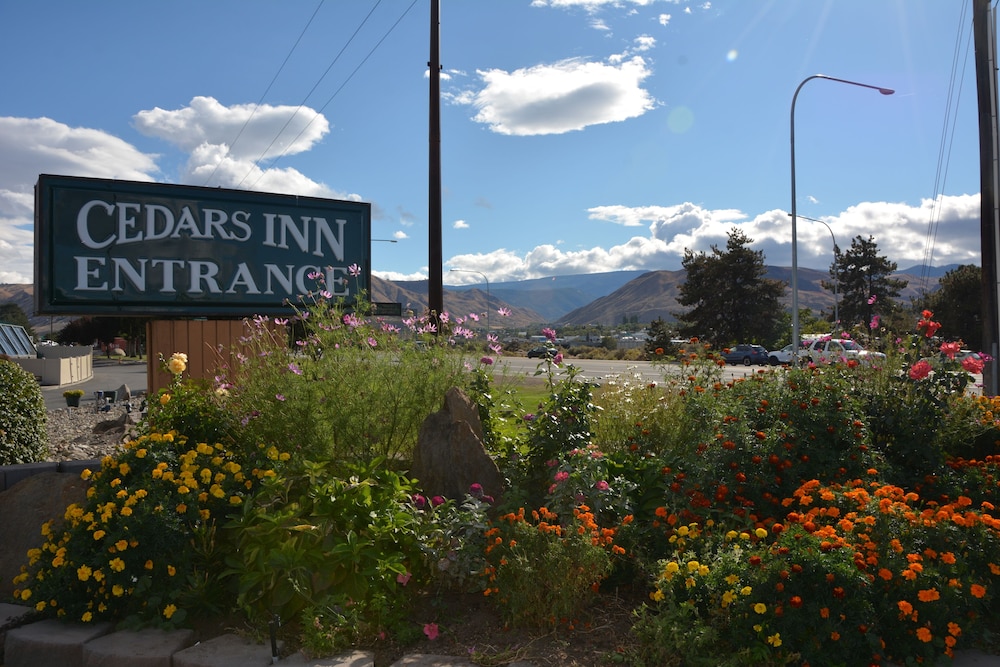 Cedars Inn 3/52