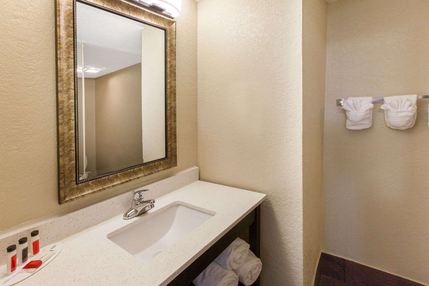 Baymont By Wyndham Downtown Detroit 29/31