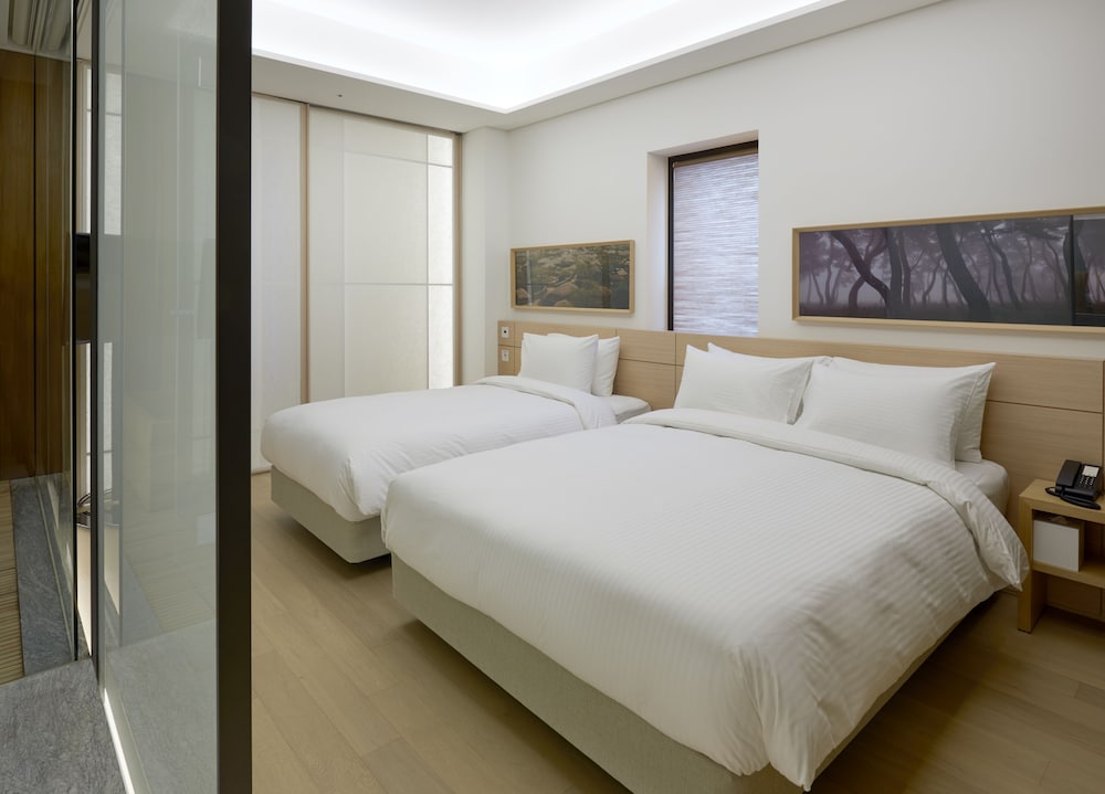 Sotetsu Hotels The Splaisir Seoul Myeongdong 30/81