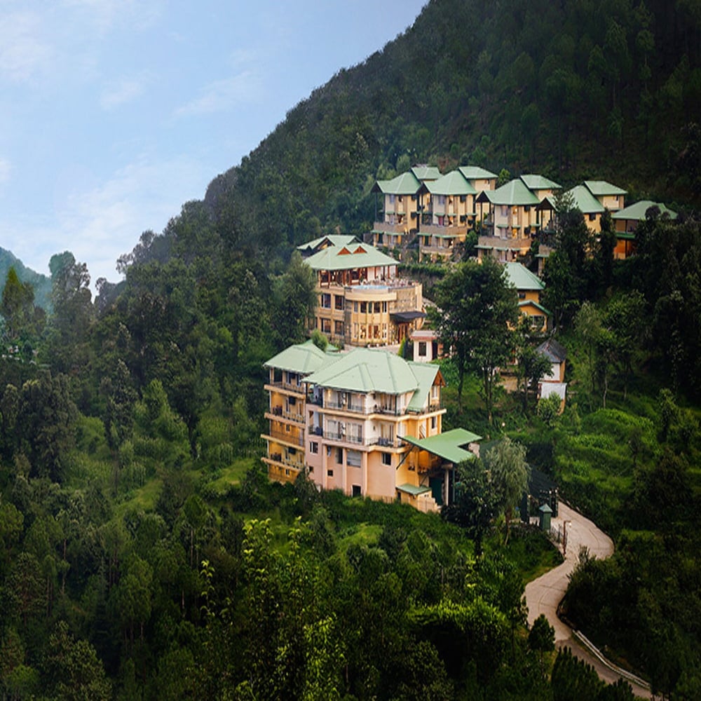 Araiya Palampur 8/50