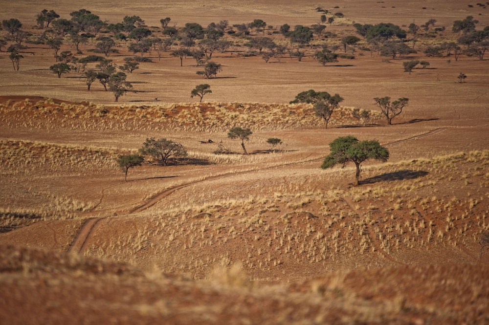 Namib Desert Lodge 67/69