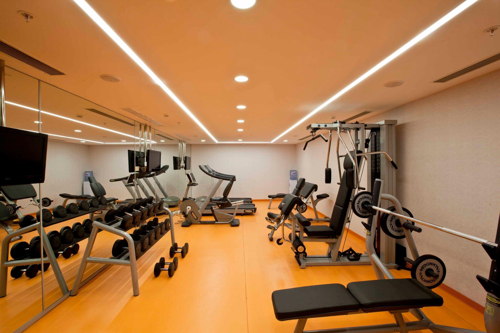 Holiday Inn Gebze Istanbul Asia 35/55